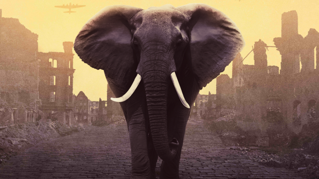 THE BARN THEATRE ANNOUNCES MICHAEL MORPURGO’S AN ELEPHANT IN THE GARDEN TO BE STREAMED ONLINE